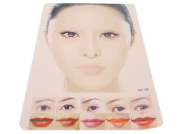 Eyeliners / Lips Tattoo Training Permanent Makeup Practice Skin Colorful