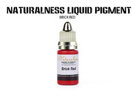 303 Brick Red Permanent Makeup Pigments 12 Ml Capacity Organic For Lips Tattoo